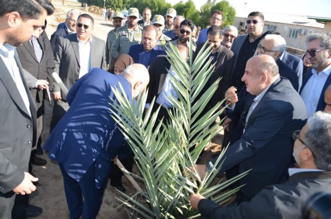 با حضور معاون رئیس جمهور و رئیس سازمان حفاظت محیط زیست؛ عملیات احداث نخلستان در کشت و صنعت نیشکر دعبل خزاعی آغاز شد